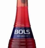 Bols Cherry Brandy 24% 0.70ltr.