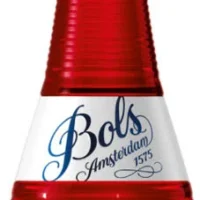 Bols Strawberry 17% 0.70 liter.